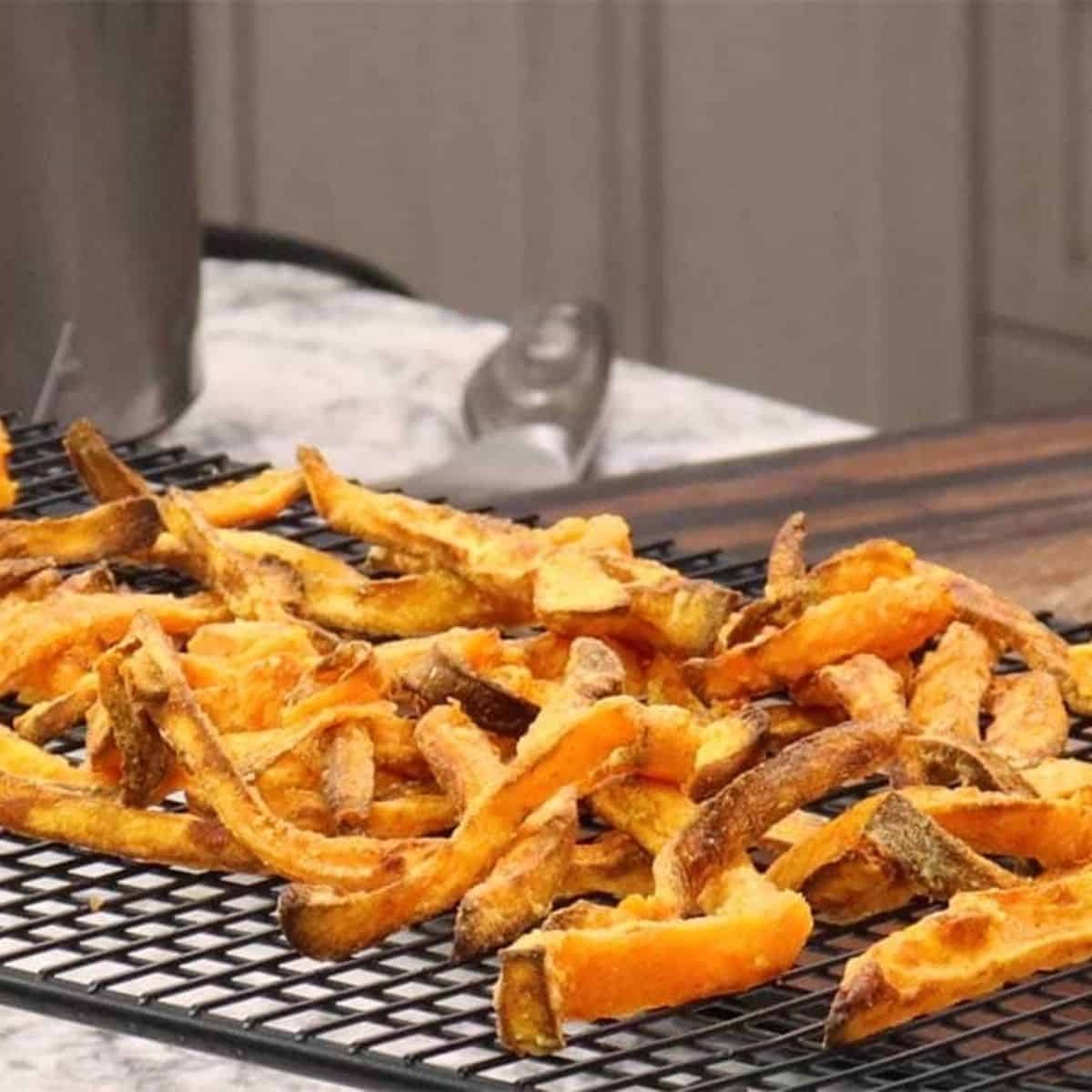 Air Fryer Sweet Potato Fries