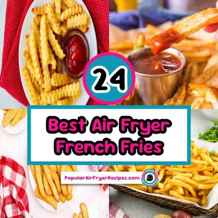 24 best air fryer french fries recipes for perfectly crispy results